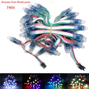 1000pcs 5V 1904 IC RGB Full Color Pixels LED Module light Chrismas Lamp Strips - Picture 1 of 15