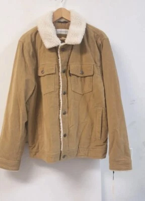 Chaqueta básica con botones de pana marrón Calvin Klein talla Grande Foto 1 de 4