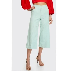 Alice + Olivia Dylan Clean High-Waist Wide-Leg Crop Pants In Mint NWT Size 6 - Picture 1 of 10