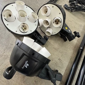 Interfit F5 Daytime Lighting Kit - Complete with Bulbs, Stands, Diffuser - Picture 1 of 7