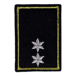 Insignia de servicio 2 estrellas plata + pelado oro (Hesse) - Imagen 1 de 1