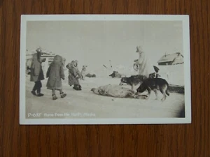Alaska AK Home From the Hunt Dead Seal Dogs RPPC Real Photo - Picture 1 of 2
