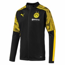 survet bvb
