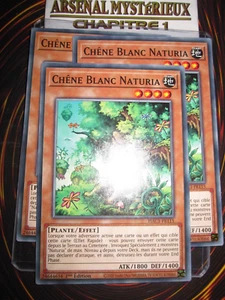 YU-GI-OH! PLAYSET (LOT DE 3) CHÊNE BLANC NATURIA HAC1-FR115 EDITION 1 FRANCAIS - Picture 1 of 1