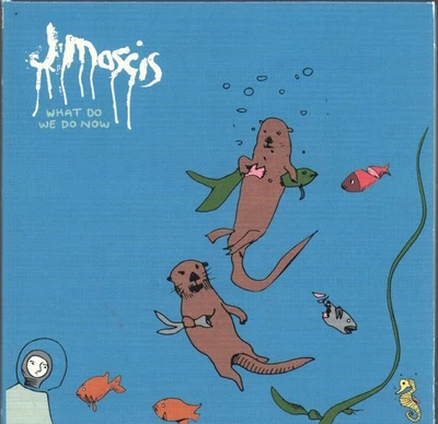 J Mascis What Do We Do Now CD Europe Sub Pop 2024 in g'fold sleeve SP1605 - Bild 1 von 2