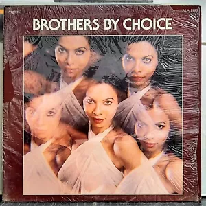 Brothers By Choice - She Puts The Ease Back Into Easy - 1978 Ala Records VG++ - Imagen 1 de 3