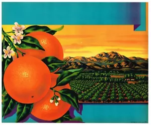 ORANGE CRATE STOCK LABEL 1940S CALIFORNIA LANDSCAPE ORIGINAL VINTAGE IMAGE - Picture 1 of 1