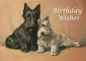 SCHOTTISCHER & WEST HIGHLAND WEISSER TERRIER HUND GEBURTSTAG GRÜSSE NOTIZKARTE - Bild 1 von 1