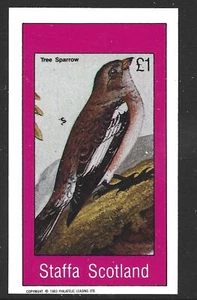 Staffa Escocia, 1983, £1, gorrión arbóreo, pájaro, MNH Imperf hoja M/S #M1608 - Imagen 1 de 1