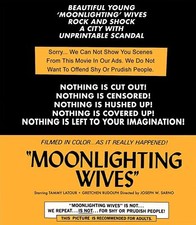 Moonlighting Wives (Blu-ray) Tammy Latour Diane Vivienne Jan Nash (US IMPORT)