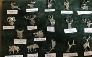 Zinn Pin Anstecker Brosche Hirsch Wildschwein Geweih Britisch Made bis 30% Rabatt - Bild 1 von 3