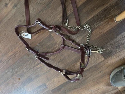 Halter de caballo marrón con corazones y línea de plomo a juego Foto 1 de 3