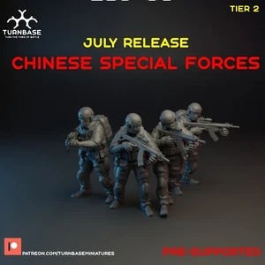 Miniaturas Turnbase Modernas Fuerzas Especiales Chinas Zona Alfa Spectre 20mm 28mm 3D - Imagen 1 de 1