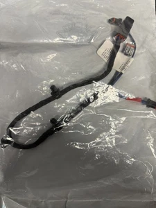 Harley-Davidson Genuine OEM Wiring Harness Rear Light & LPM Arm FXDRS FXDR - Picture 1 of 2