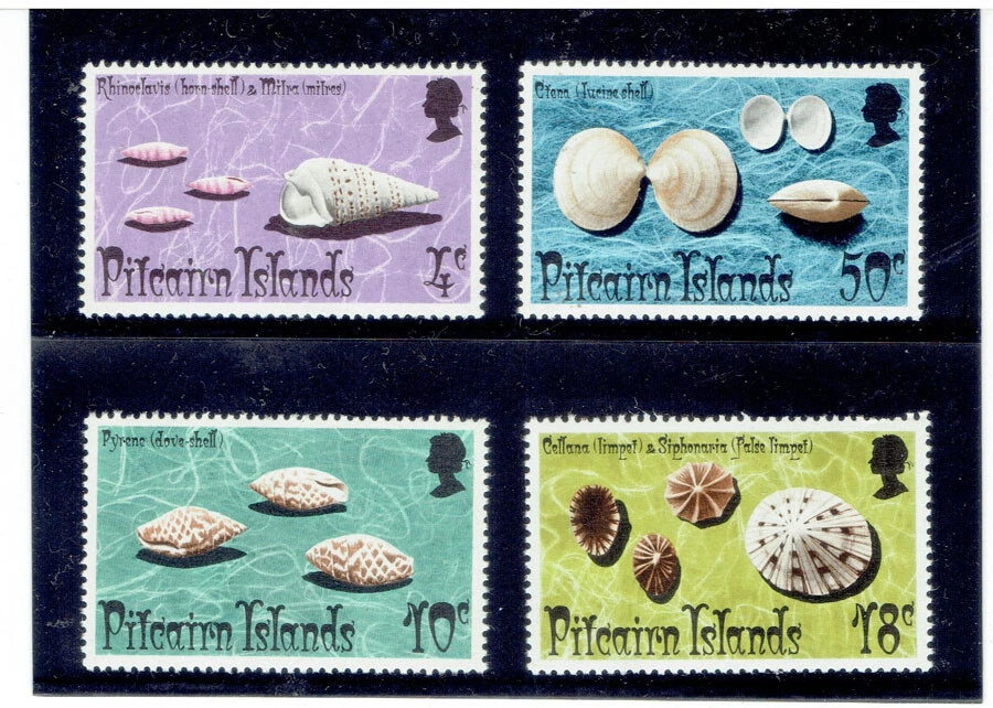 PITCAIRN ISLANDS 1974 Shells (Fauna) CV $4.75 - Image 1 of 1