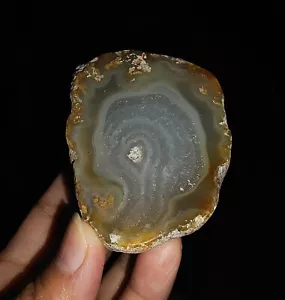 ERSTAUNLICHER AMMONIT!! IN HALBQUARZACHAT GESCHNITTEN, AUS JAVA, INDONESIEN, 64 MM - Bild 1 von 5