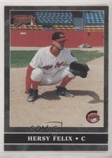 1999 Multi-Ad Sports Charleston Alley Cats Hersy Felix #10
