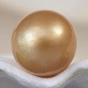 Südseeperle tiefgold rund 9,87 mm Maluku Indonesien 1,36 g ungebohrt - Bild 1 von 13