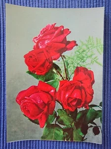 old Postcard Postcard AK Red art card Roses Rosaceae 1950's Years - Picture 1 of 2