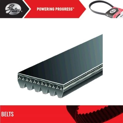 Serpentine Belt Gates For 2011-2016 FORD E-350 SUPER DUTY V8-5.4L - Image 1 of 4