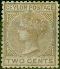 Ceylan 1872 marron