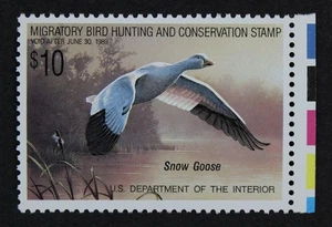 CKStamps: US Federal Duck Stamps Collection Scott#RW55 $10 Mint NH OG - Picture 1 of 2
