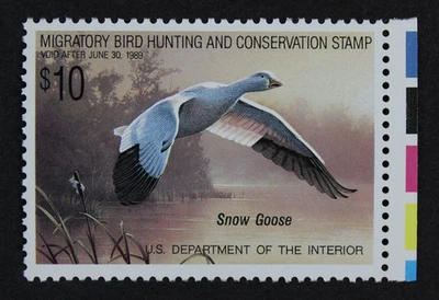 CKStamps: US Federal Duck Stamps Collection Scott#RW55 $10 Mint NH OG - Image 1 of 2