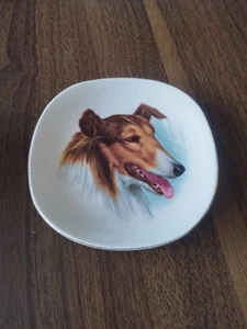 WEATHERBY HANLEY ROYAL FALCONWARE COLLECTOR PLATE - DOG - Picture 1 of 3