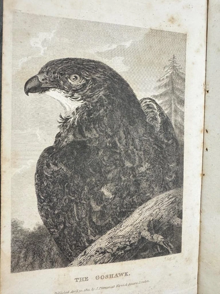 1821 THE SPORTING MAGAZINE OR MONTHLY CALENDAR, 12 ENGRAVED PLATES, HORSES, HAWK - Image 1 of 1