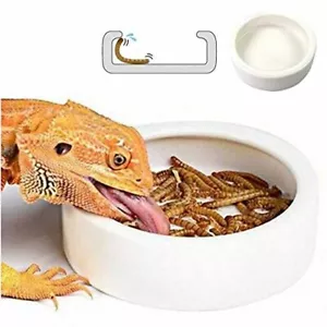 Small Reptile Food Water Bowl for Worm Feeder Lizards Dragon Gecko 2.75 Inches - Picture 1 of 6