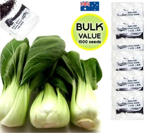 Baby Bok Choy Seeds 1500 Asian Vegetable Chinese Garden Pak Choi Plants Bulk VEG - Picture 1 of 5