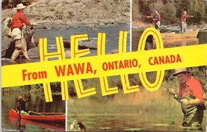 Hola desde WAWA, Ontario, Canadá - Pesca multi vista - Postal sin publicar - Imagen 1 de 2
