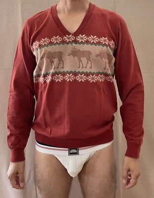 Summit Peak Performance 男式红色 M 码 Fair Isle V 领羊毛运动衫 — 第 1/4 张图片