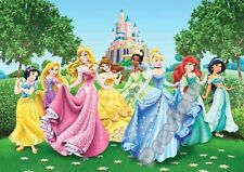 Disney Princess Castle Design Bedroom Print Poster Wall Art Picture A4 +