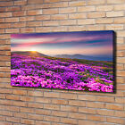 Leinwandbild Kunst-Druck 120x60 Bilder Blumen & Pflanzen Blumen Berge