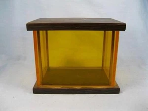 Orange Or Golden Yellow Plexiglass Coin Bank With Wood Faux Wood Top Bottom (O) - Picture 1 of 6