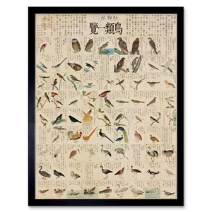 Kato Chikusai Vogelarten Japanisch Gerahmter Druck 30x40 cm - Bild 1 von 29