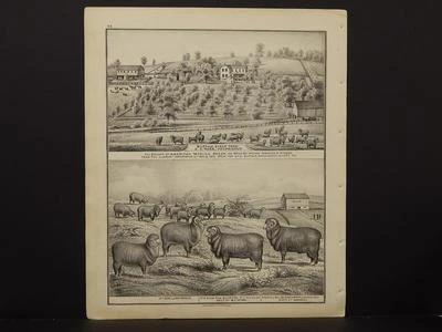 Mapa de Pensilvania, condado de Washington, 1876 grabados agrícolas doble cara N5#73 Foto 1 de 2