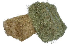 10kg Stroh + 10kg Heu - Heu + Stroh Kombination Strohballen Heuballen - Bild 1 von 3