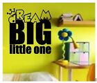 Wall Sticker Dream big Little one girls boys bedroom Words Vinyl wall art Decal