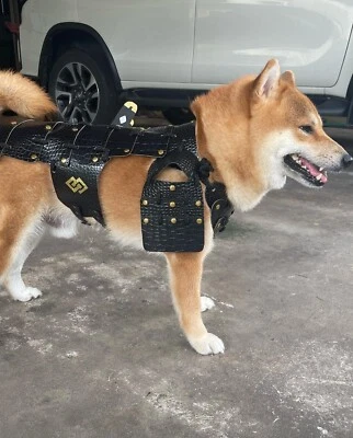 Armadura Shiba Inu, Trajes de Guerrero Samurai Japonés Perro Cuero Geniune Hechos a Mano Foto 1 de 4