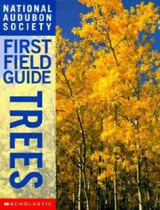 National Audubon Society First Field Guide Trees (National Audubon Societ - GOOD
