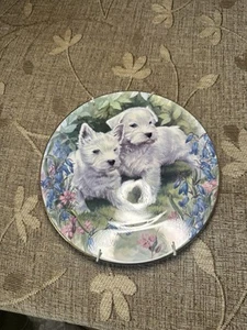 Vintage royal grafton Scottie Dog Bone China Plate - Picture 1 of 2