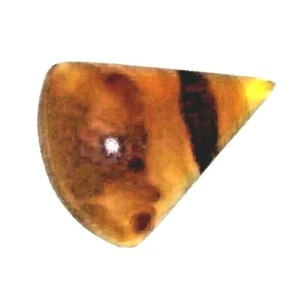 16 Cts Agata a fascia naturale cabochon di design personalizzati lucidati a mano USA - Foto 1 di 12