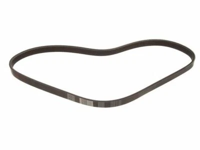 Para 1990-1994 Alfa Romeo Spider Multi Rib Cinturón Dirección Asistida 99788CW 1991 1992 Foto 1 de 2