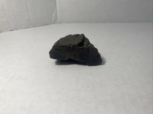 Versteinertes Holz grobes Exemplar grob 48,7 Gramm - Bild 1 von 8