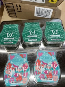 5 Neu im Karton Scentsy Wachsbarren Posten #9 - Bild 1 von 4