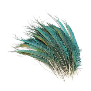 10x Natural Peacock Tail Feathers Wedding Home Décor DIY Art Crafts 25cm-30cm - Picture 1 of 6