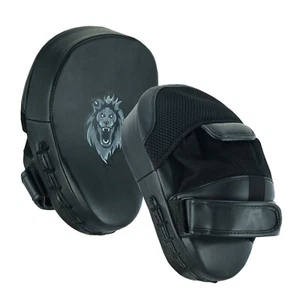 Raxid Boxpads Fokus Stanzhandschuhe Haken & Jab MMA Muay Thai Training Kickboxen - Bild 1 von 34