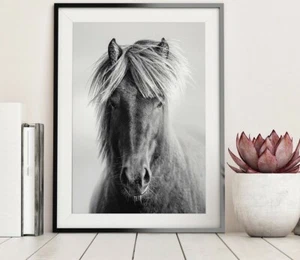 BW Horse Photography Wall Fine Art Poster Print. Great Farmhouse Home Decor - Foto 1 di 4